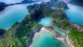 Immerse in Vietnam’s natural heritage during business downtime